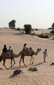 Туры в отель Al Marmoom Dome Luxury Desert Experiential Stay