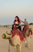 Туры в отель Sunset Desert Safari With Glamping