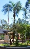 Туры в отель Pirayu Lodge Resort