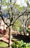 Туры в отель Pirayu Lodge Resort