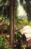 Туры в отель Pirayu Lodge Resort