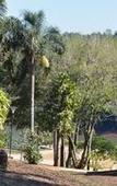 Туры в отель Pirayu Lodge Resort