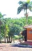 Туры в отель Pirayu Lodge Resort