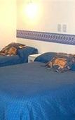 Туры в отель San Remo Majestic Hotel
