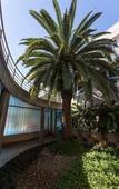 Туры в отель Howard Johnson by Wyndham Yerba Buena