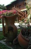 Туры в отель Hosteria-Spa Posada del Sol