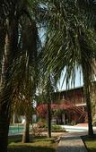 Туры в отель Hosteria-Spa Posada del Sol