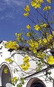 Туры в отель Hilton Garden Inn Tucuman