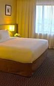 Туры в отель Hilton Garden Inn Tucuman