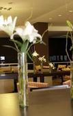 Туры в отель Hilton Garden Inn Tucuman