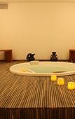 Туры в отель Hilton Garden Inn Tucuman