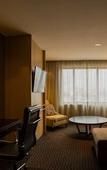 Туры в отель Hilton Garden Inn Tucuman