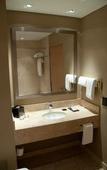 Туры в отель Hilton Garden Inn Tucuman