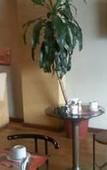 Туры в отель Alto Parana Hotel
