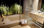 Туры в отель Alpasion Lodge