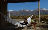 Туры в отель Alpasion Lodge