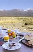 Туры в отель Alpasion Lodge