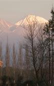 Туры в отель Postales by DOT Boutique