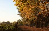 Туры в отель Postales by DOT Boutique