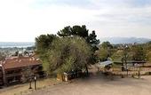 Туры в отель Pinares Panorama Resort, Spa & Convention Center