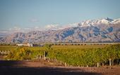 Туры в отель La Morada Lodge - Valle de Uco