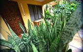 Туры в отель Hotel Lilian