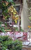 Туры в отель Casa Lila Bed & Breakfast