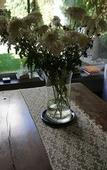 Туры в отель Casa Lila Bed & Breakfast