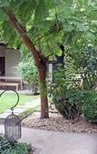 Туры в отель Casa Lila Bed & Breakfast