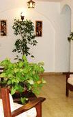 Туры в отель Hotel Colonial