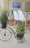 Туры в отель Hotel Calimera