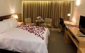 Туры в отель Hotel y Casino del Rio Cipolletti