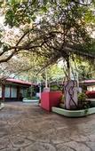 Туры в отель Hotel el Prado