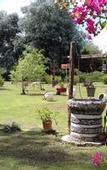 Туры в отель Pualy Resort & Spa