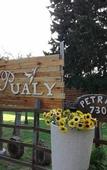 Туры в отель Pualy Resort & Spa