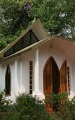 Туры в отель Orquideas Hotel & Cabanas
