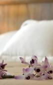 Туры в отель Orquideas Hotel & Cabanas