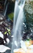 Туры в отель Tupa Lodge selva y rio