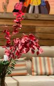 Туры в отель Hotel Colonial Tafi del Valle by DOT Tradition