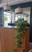 Туры в отель Bagu Santander Hotel