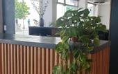 Туры в отель Bagu Santander Hotel