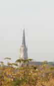 Туры в отель Posada San Isidro