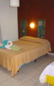 Туры в отель Petit Hotel Panambi