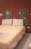 Туры в отель Petit Hotel Panambi