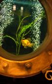 Туры в отель Filiberto By iPPA