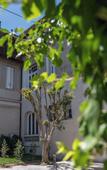 Туры в отель Casa Villa Julia