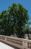 Туры в отель Casa Villa Julia