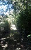Туры в отель Complejo El Sitio Dorado