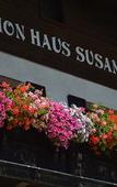 Туры в отель Haus Susanne