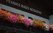 Туры в отель Haus Susanne